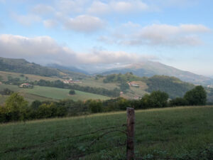 Camino 8-20-26