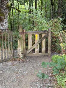 Camino 8-21-26