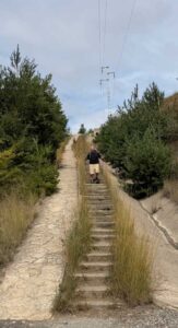 Camino 8-21-26
