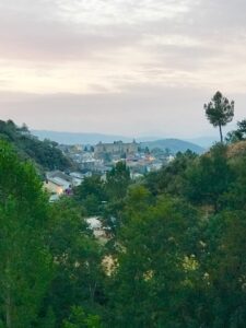 IMG_6689