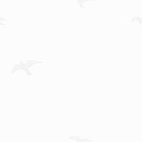 foggy_birds-1