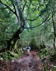 Camino 8-21-26