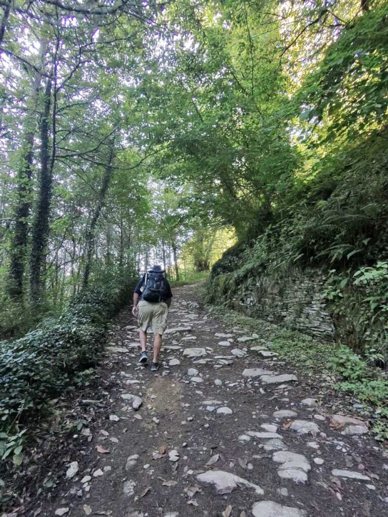 Camino 9-12-26