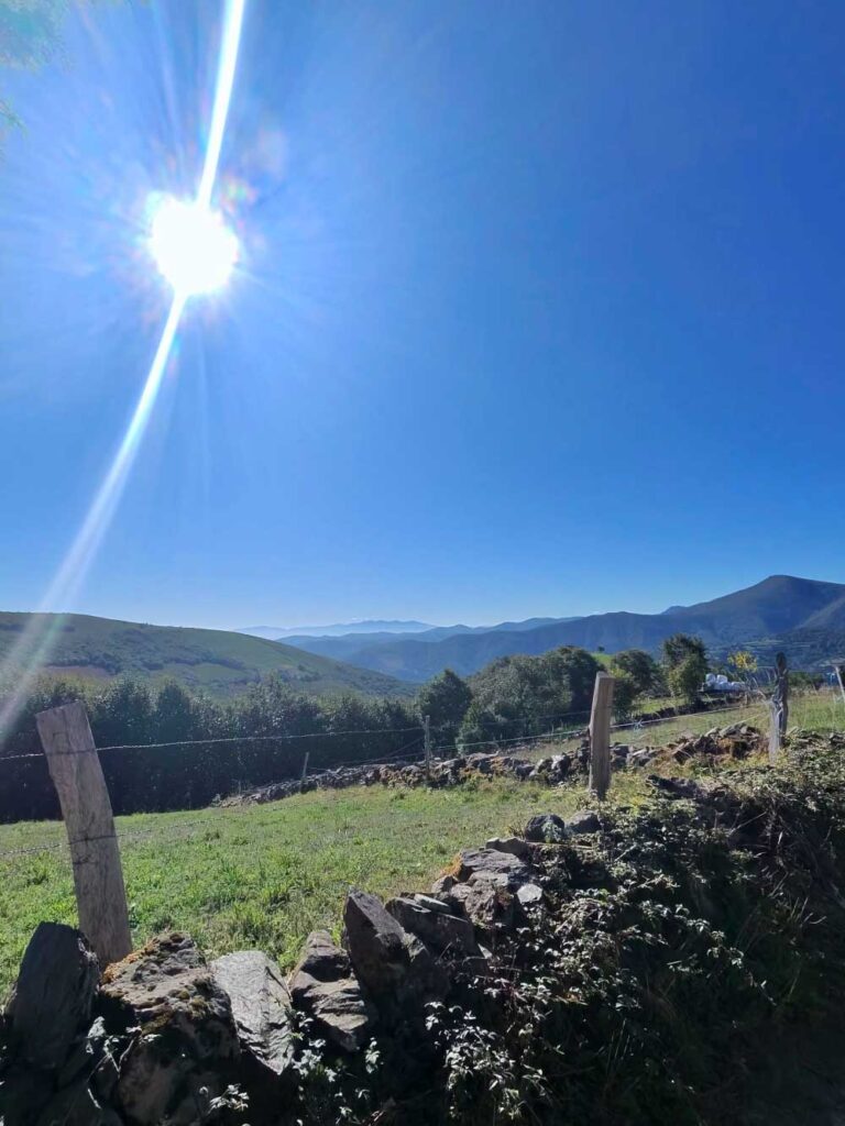 Camino 9-12-26