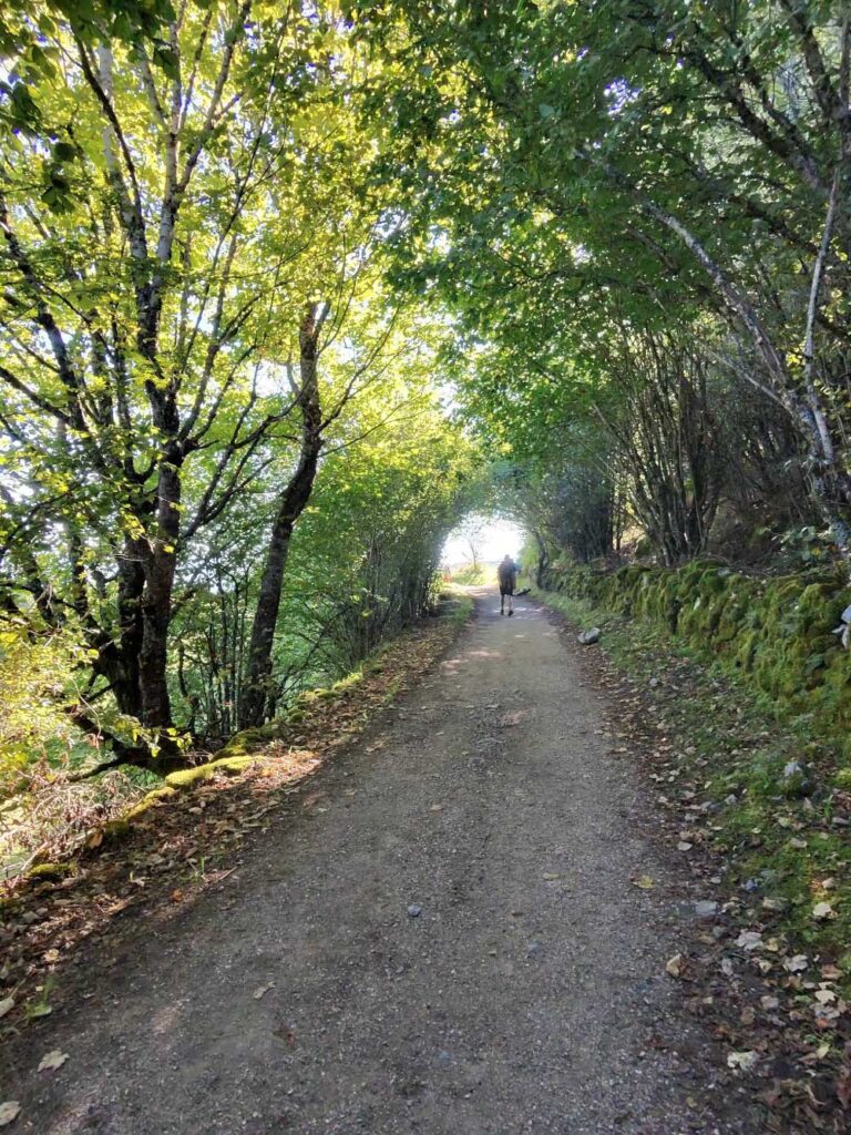 Camino 9-12-26