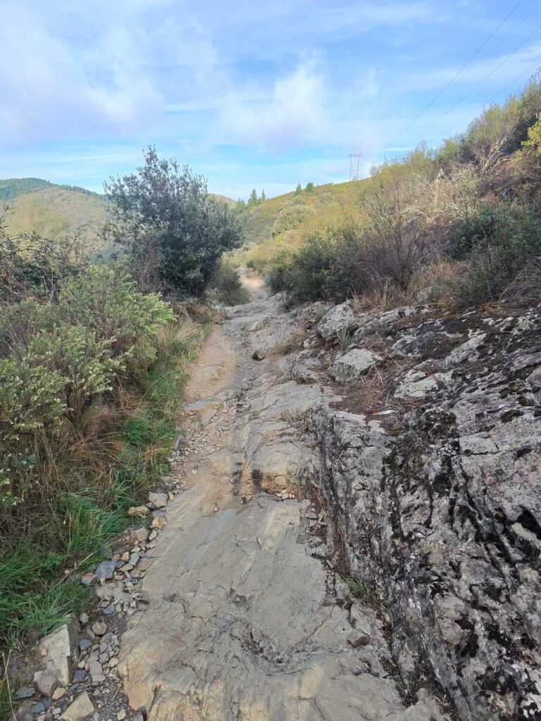 Camino 9-9-26