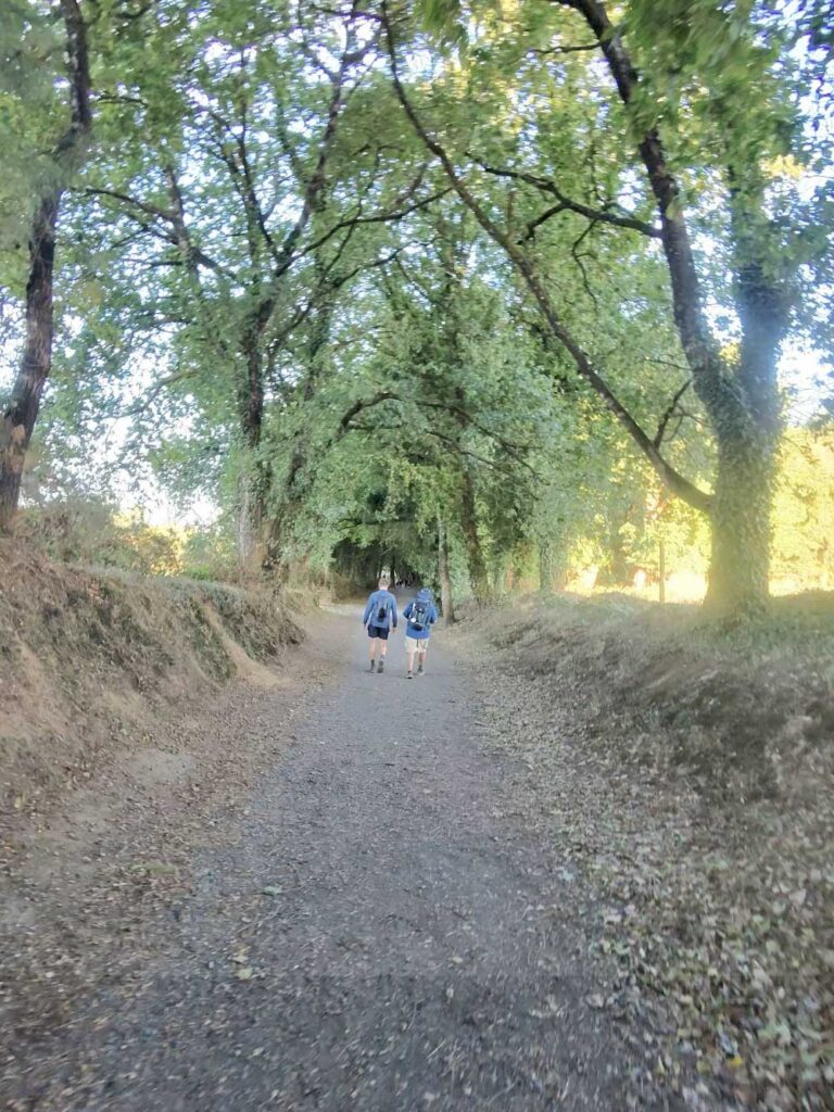 Camino 9-17-26
