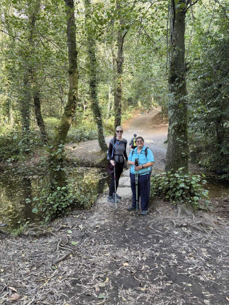 Camino 9-17-26