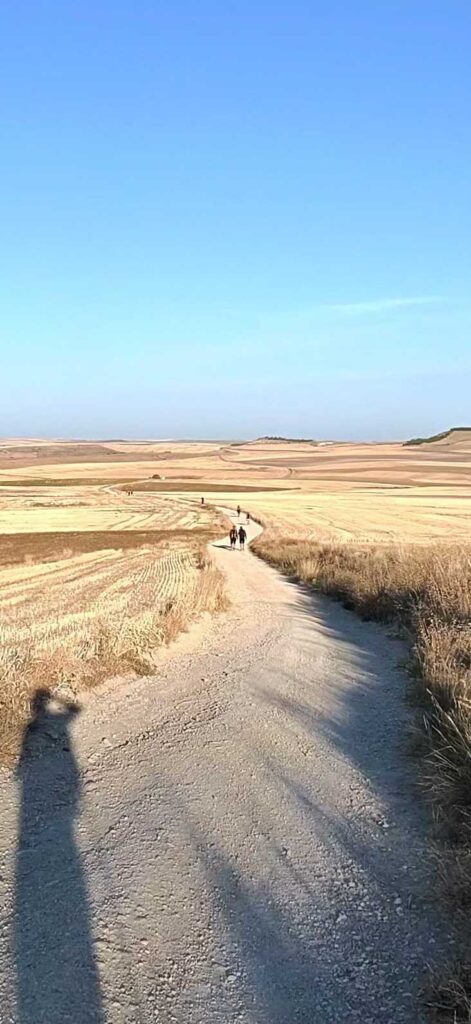 Camino 9-5-26